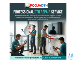 Professional DTH Repair Service