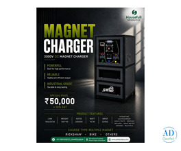 Magnet Charger Manufacturer for Electric Rickshaws