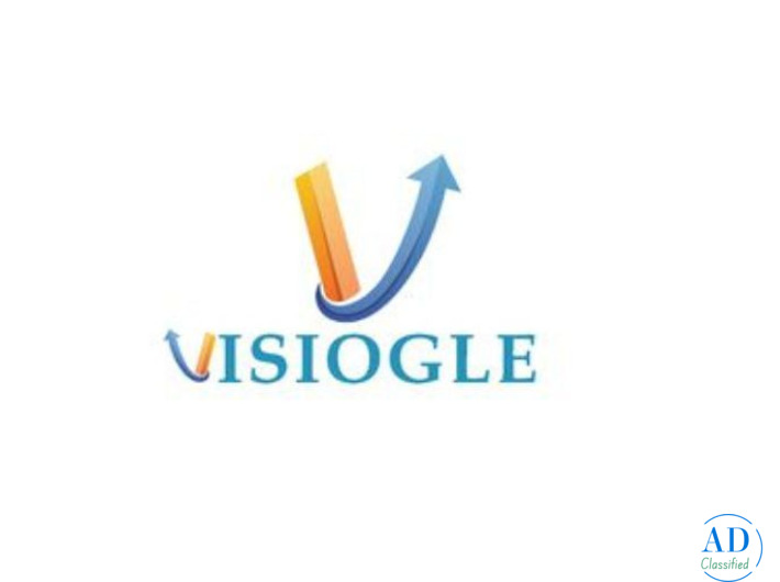 Visiogle Provides Professional Website Development Company Services