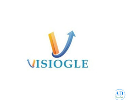 Visiogle Provides Professional Website Development Company Services