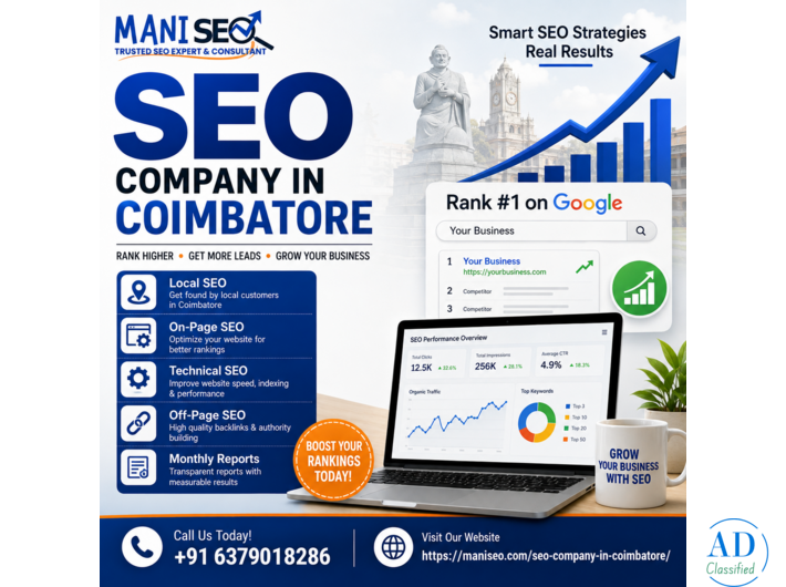 Build a Stronger Online Presence with Professional SEO | Mani SEO
