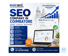 Build a Stronger Online Presence with Professional SEO | Mani SEO