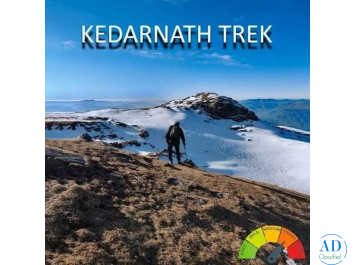Book Kedarkantha Trek