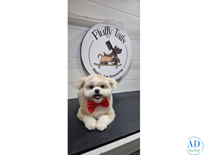 Professional Pet Grooming at Your Doorstep with Fluffy Tails