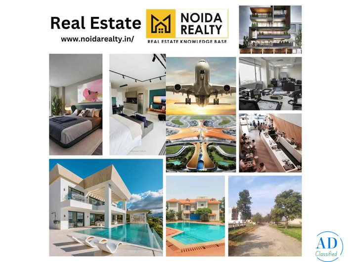 How can Noida Realty help with property investment?