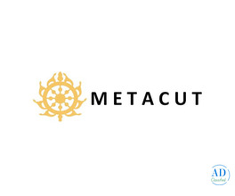 The Metacut Inc