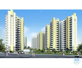 Flats in Amrapali Verona Heights Noida Extension