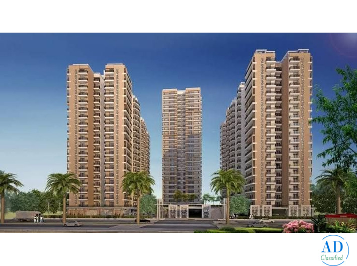Can Nirala Estate be considered for investment?