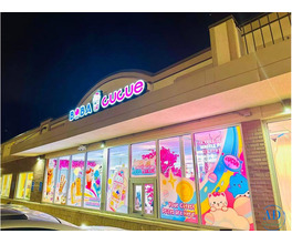 Bubble Tea Franchise for Sale in the USA