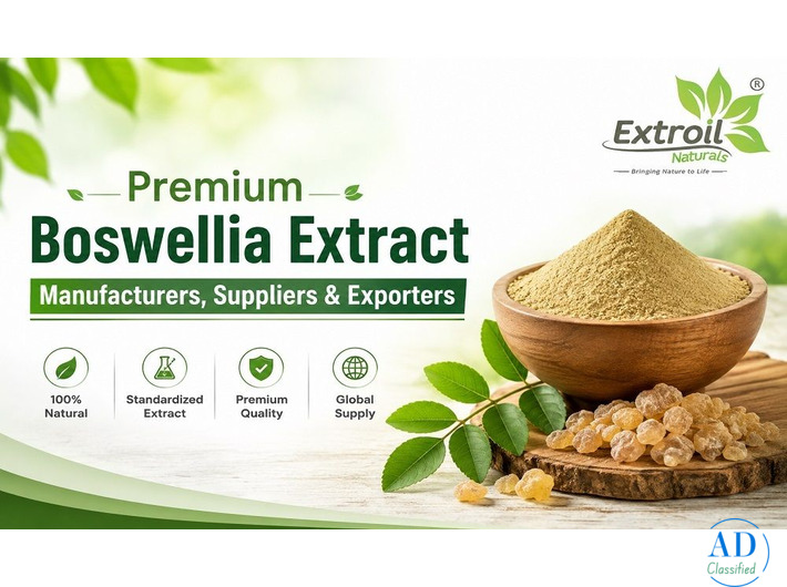 Premium Boswellia Extract Manufacturers, Suppliers & Exporters
