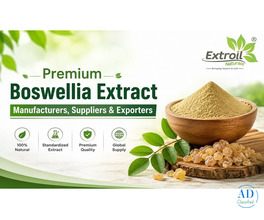 Premium Boswellia Extract Manufacturers, Suppliers & Exporters