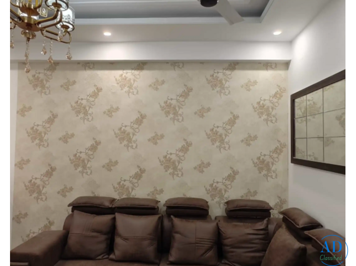 Looking for an apartment to rent in Noida Extension?