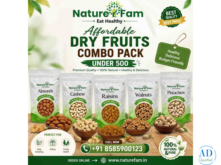 Affordable Dry Fruits Combo Pack Under 500 | Naturefam