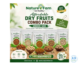 Affordable Dry Fruits Combo Pack Under 500 | Naturefam