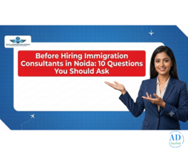 Before Hiring Immigration Consultants in Noida