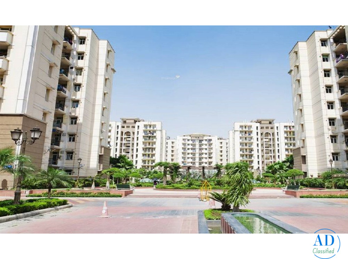 Are Amrapali Golf Homes apartments suitable for family living?