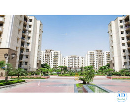 Are Amrapali Golf Homes apartments suitable for family living?