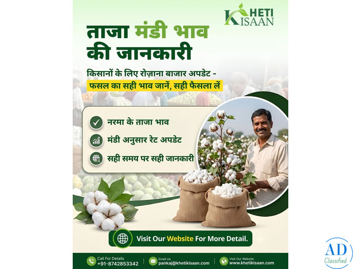 Real Time Cotton Prices in India