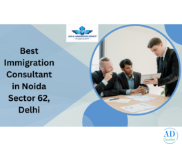 Best Immigration Consultant in Noida