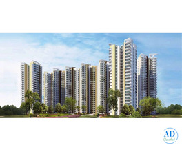 Are you looking for an apartment for rent in Sector 78, Noida? Look here.