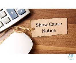 Professional Guidance for Answering a SEBI Show Cause Notice