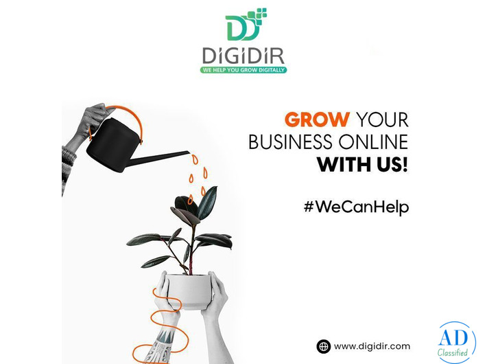 DigiDir – SEO Company in India for Sustainable Search Growth