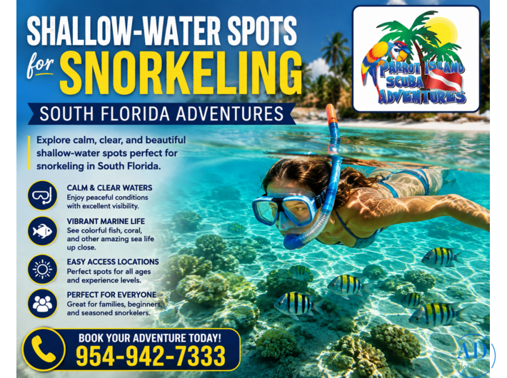 Shallow-Water Spots for Snorkeling South Florida Adventures