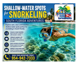 Shallow-Water Spots for Snorkeling South Florida Adventures