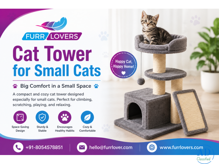 Buy Cat Tower for Small Cats Online | Furrlovers