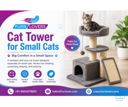 Buy Cat Tower for Small Cats Online | Furrlovers
