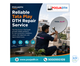 Reliable Tata Play DTH Repair Service