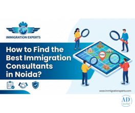 How to Find the Best Immigration Consultants in Noida?