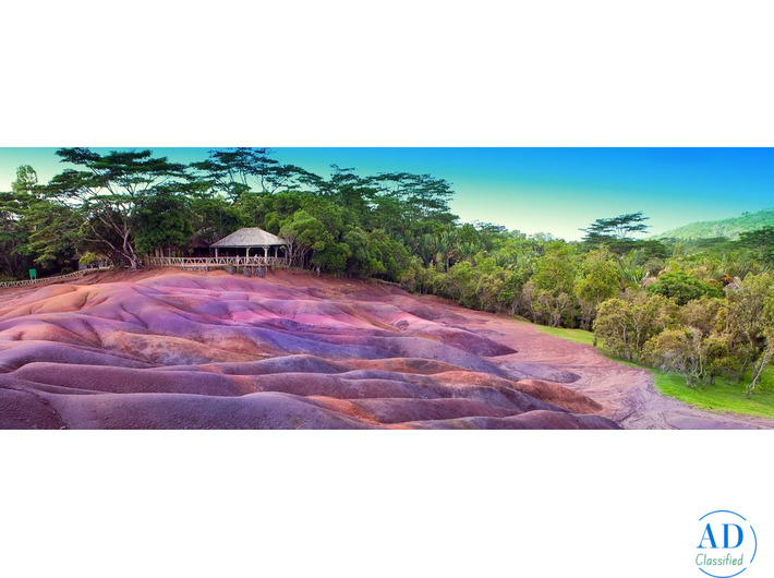 Experience the Best of Mauritius with Odyssey Travels