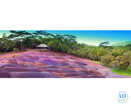 Experience the Best of Mauritius with Odyssey Travels
