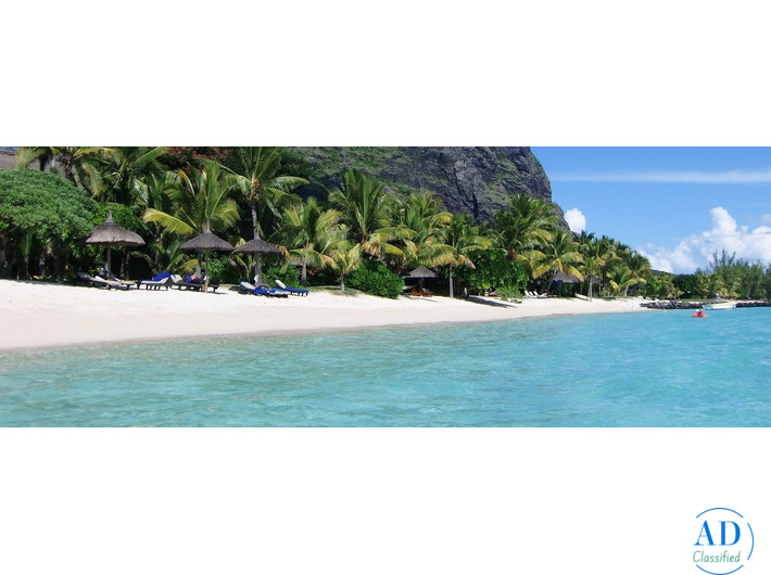 Experience the Best of Mauritius with Odyssey Travels