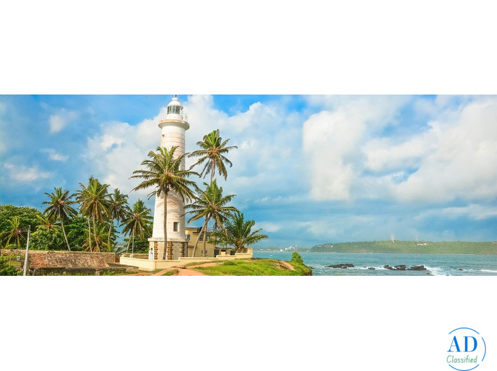 Sri Lanka Tour Packages with Wildlife, Beaches & Tea Hills
