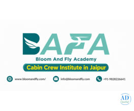 Cabin crew institute in jaipur
