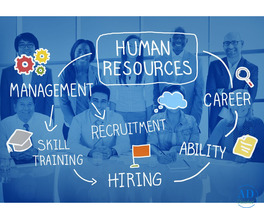 Build Your HR Career with an Industry-Relevant PGDM Programme