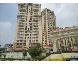 Amrapali Sapphire, Sector 45, Noida – 2, 3, and 4 BHK Flats for Sale