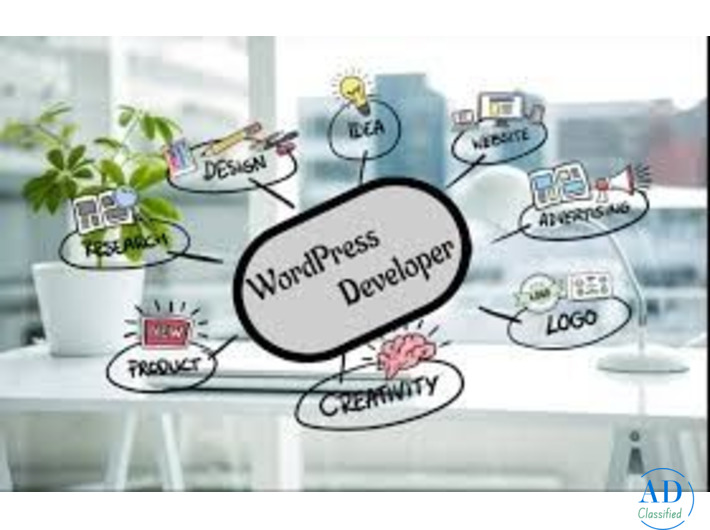 WE ARE HIRING WORDSPRESS DEVELOPER IN SALEM