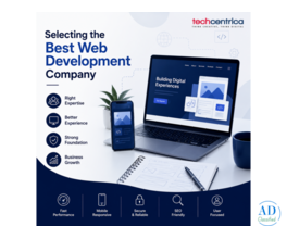 TechCentrica: Smart Web development Solutions provider by professionals