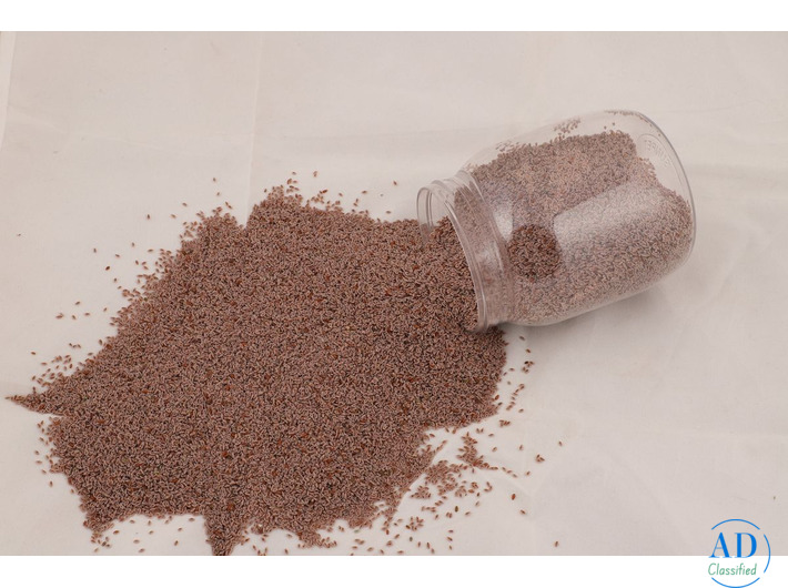 Gayatri Psyllium Industries | Leading Psyllium Husk, Seeds & Powder Exporter from India