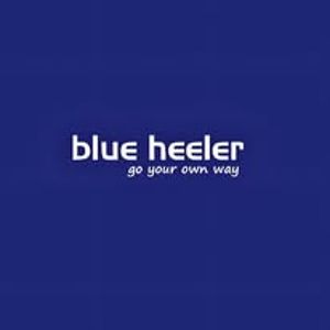 blue-heeler.shoes
