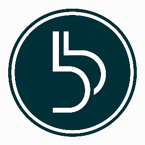 Balkan Boost Agency