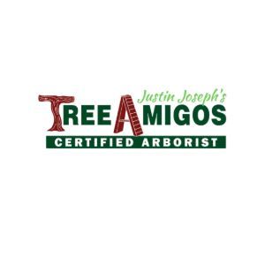 Tree Amigos Tree Service