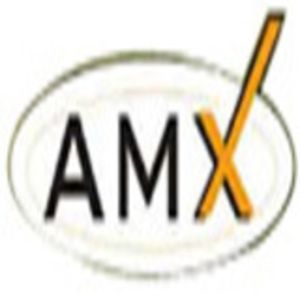 AMX Detectives