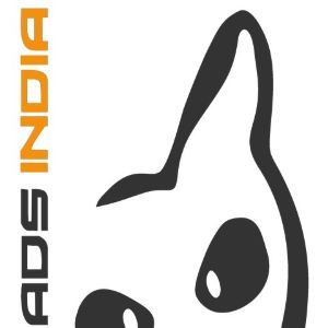 tradebirddigital