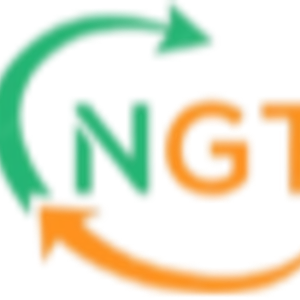New Global Travel