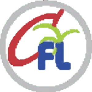 Chintamani finlease